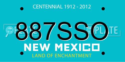 887SSO New Mexico License Plate