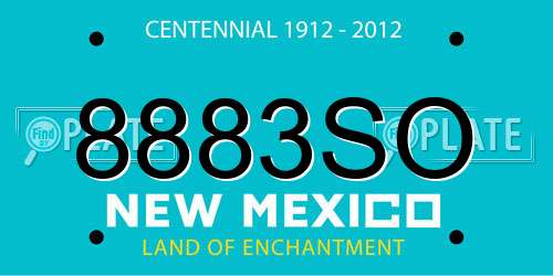 8883SO New Mexico License Plate