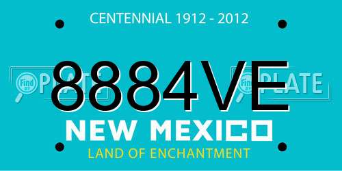 8884VE New Mexico License Plate