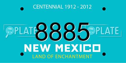 8885 New Mexico License Plate
