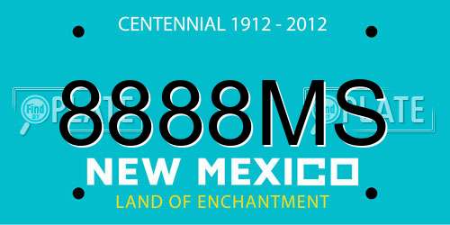 8888MS New Mexico License Plate