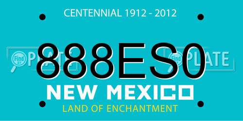 888ES0 New Mexico License Plate