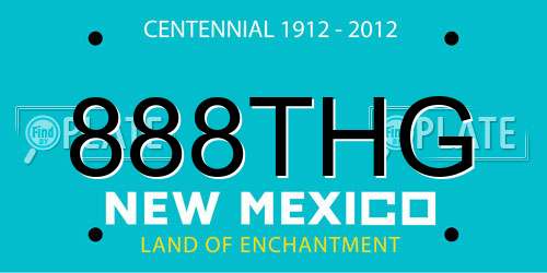 888THG New Mexico License Plate