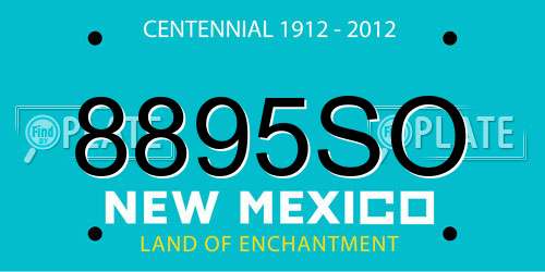 8895SO New Mexico License Plate