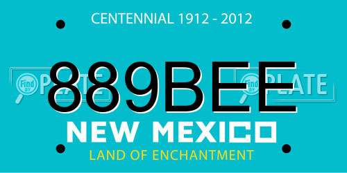 889BEE New Mexico License Plate