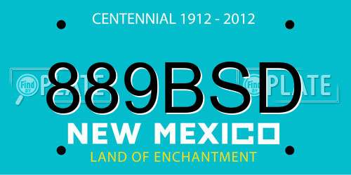 889BSD New Mexico License Plate