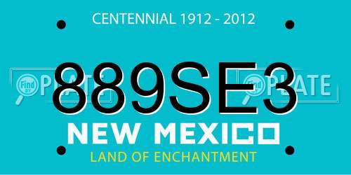 889SE3 New Mexico License Plate