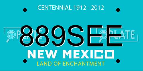 889SEE New Mexico License Plate