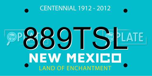 889TSL New Mexico License Plate