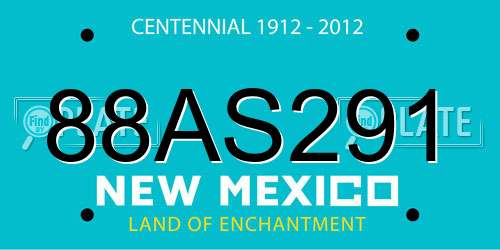 88AS291 New Mexico License Plate