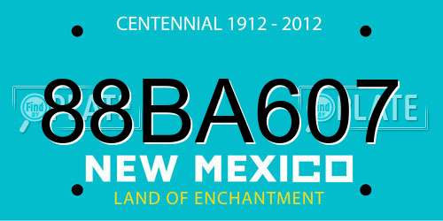 88BA607 New Mexico License Plate