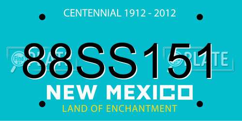 88SS151 New Mexico License Plate