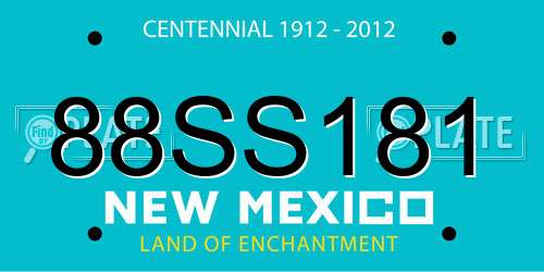 88SS181 New Mexico License Plate