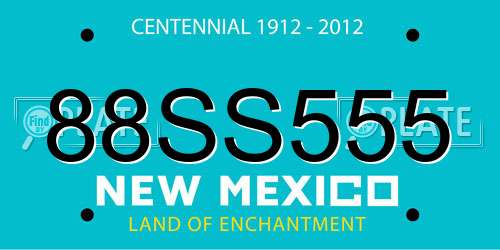 88SS555 New Mexico License Plate