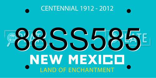 88SS585 New Mexico License Plate