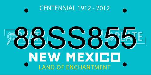 88SS855 New Mexico License Plate