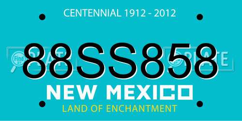 88SS858 New Mexico License Plate