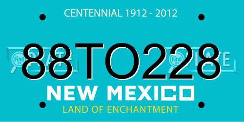 88TO228 New Mexico License Plate