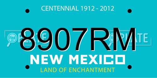 8907RM New Mexico License Plate