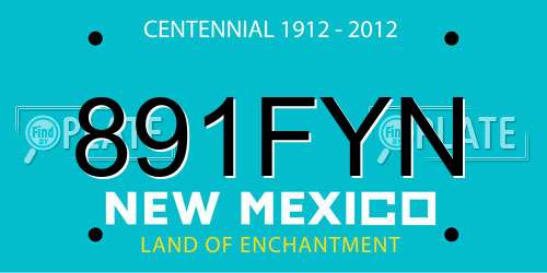891FYN New Mexico License Plate