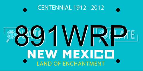 891WRP New Mexico License Plate