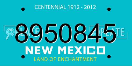 8950845 New Mexico License Plate