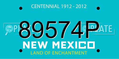89574P New Mexico License Plate