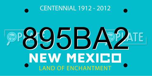895BA2 New Mexico License Plate