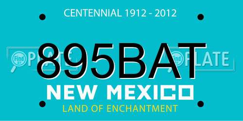 895BAT New Mexico License Plate