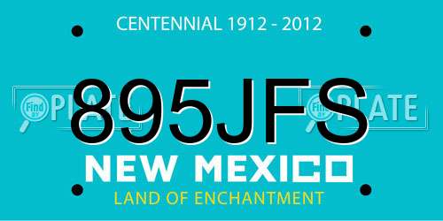 895JFS New Mexico License Plate