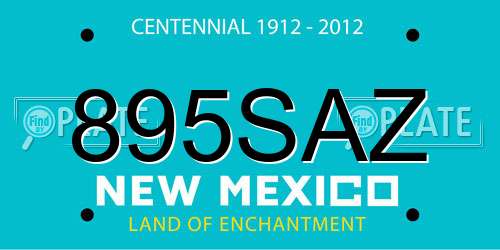 895SAZ New Mexico License Plate