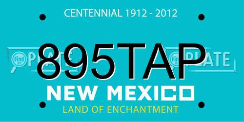 895TAP New Mexico License Plate