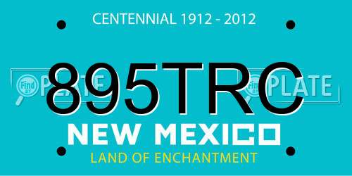 895TRC New Mexico License Plate