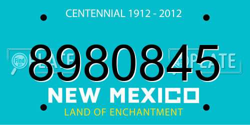 8980845 New Mexico License Plate