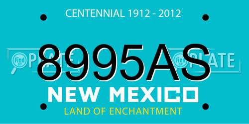 8995AS New Mexico License Plate