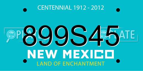 899S45 New Mexico License Plate