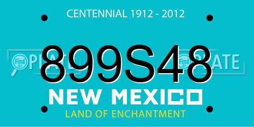 899S48 New Mexico License Plate