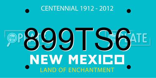 899TS6 New Mexico License Plate