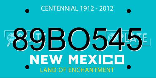 89BO545 New Mexico License Plate