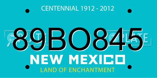 89BO845 New Mexico License Plate