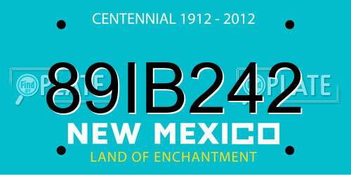 89IB242 New Mexico License Plate
