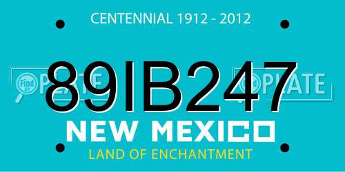 89IB247 New Mexico License Plate