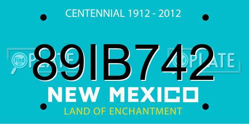 89IB742 New Mexico License Plate