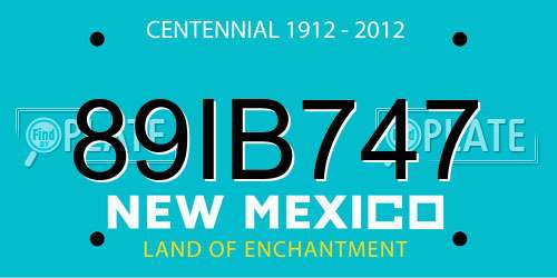 89IB747 New Mexico License Plate