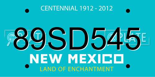 89SD545 New Mexico License Plate