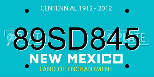 89SD845 New Mexico License Plate
