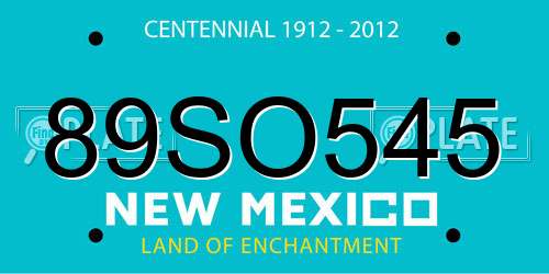 89SO545 New Mexico License Plate