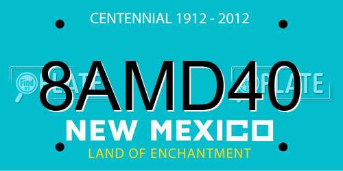 8AMD40 New Mexico License Plate