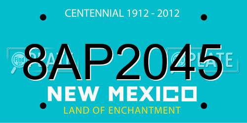 8AP2045 New Mexico License Plate
