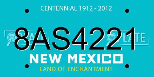 8AS4221 New Mexico License Plate